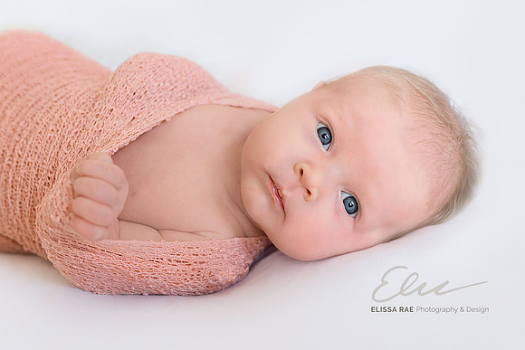 Newborn_photography_family_portrait_baby_chicago_63