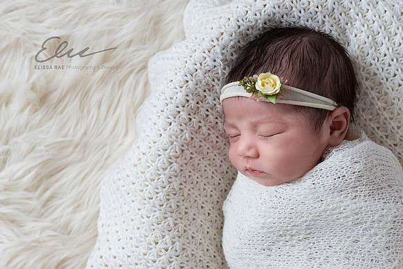 Newborn_photography_family_portrait_baby_chicago_61