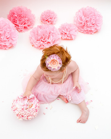 Children_Kids_photography_family_photos_chicago__6months_baby_elissarae.com_birthday_cakesmash